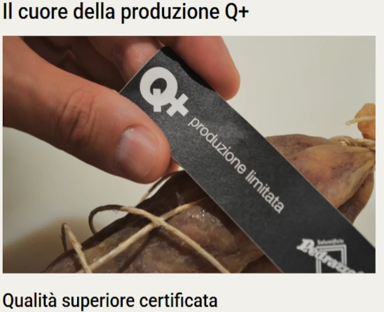 Linea Q+